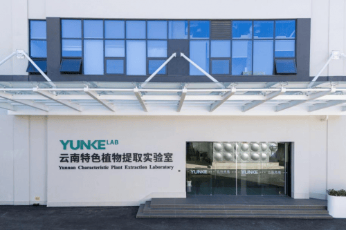 外市场研发实力成贝泰妮出海压舱石PG麻将胡了免费模拟器加码布局海(图4)